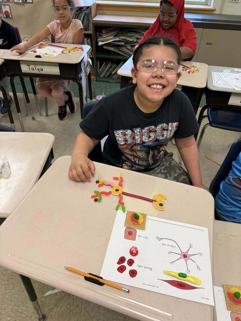 A student learning about the human body using candy.