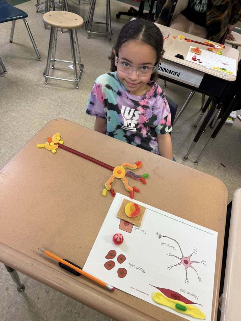 A student learning about the human body using candy.