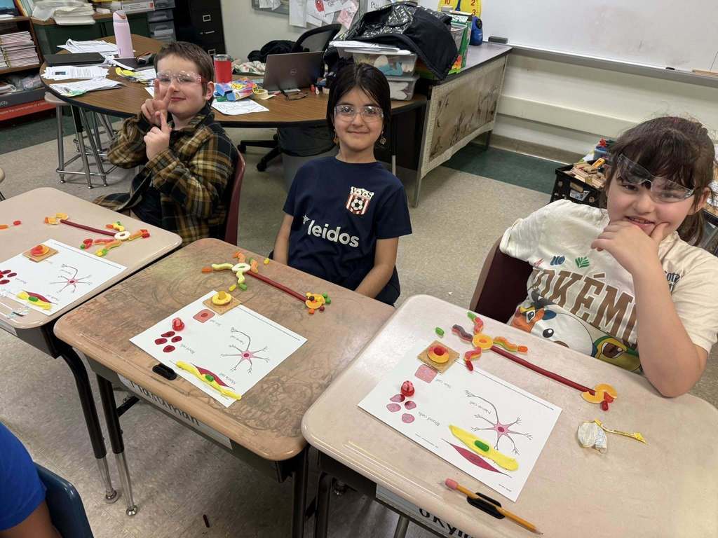 Students learning about the human body using candy.