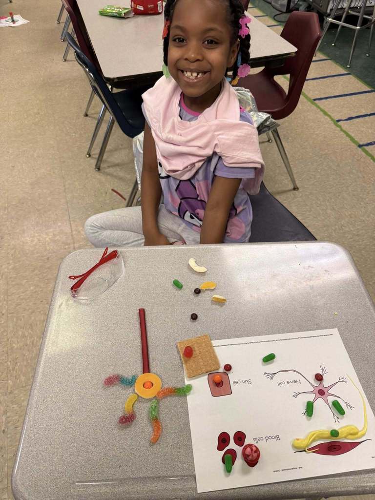 A student learning about the human body using candy.