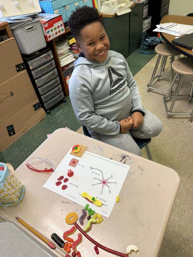 A student learning about the human body using candy.