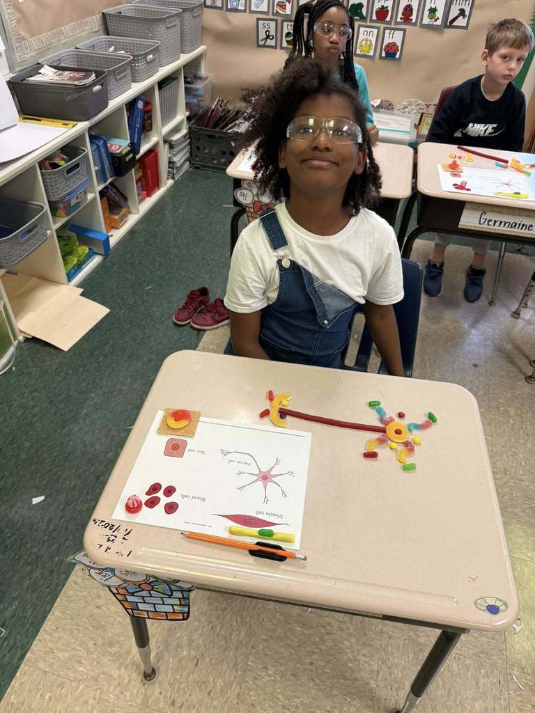 A student learning about the human body using candy.