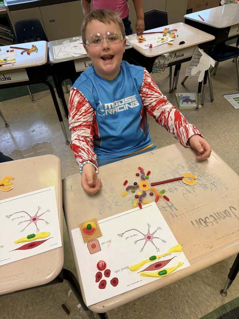 A student learning about the human body using candy.