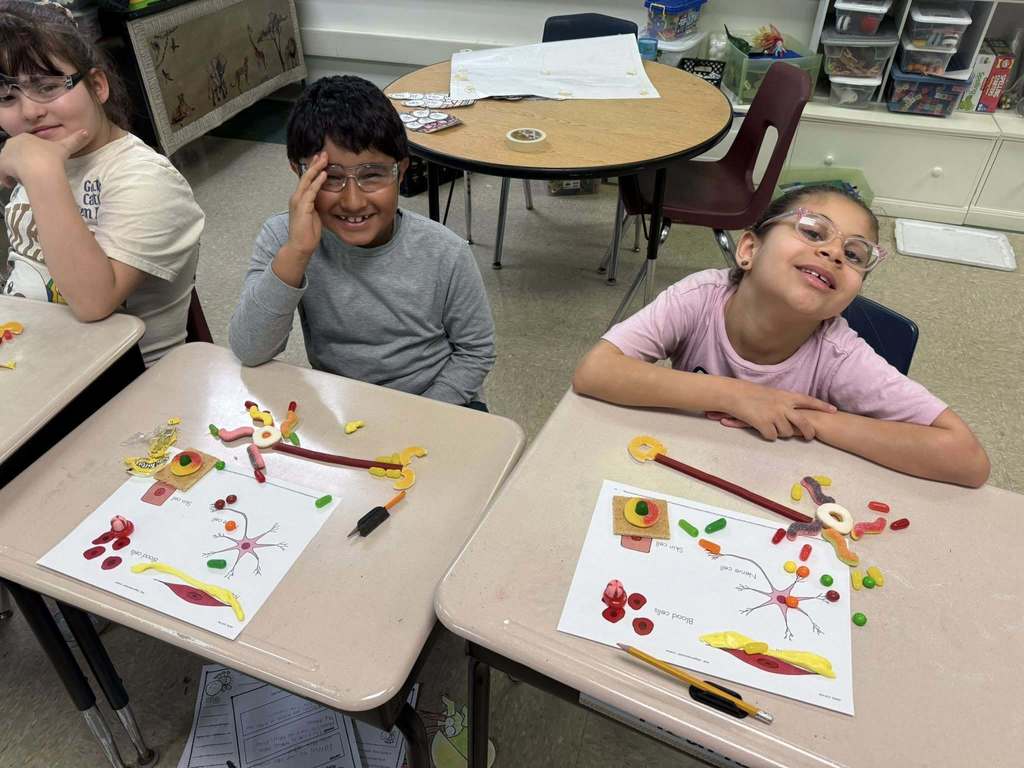 Students learning about the human body using candy.