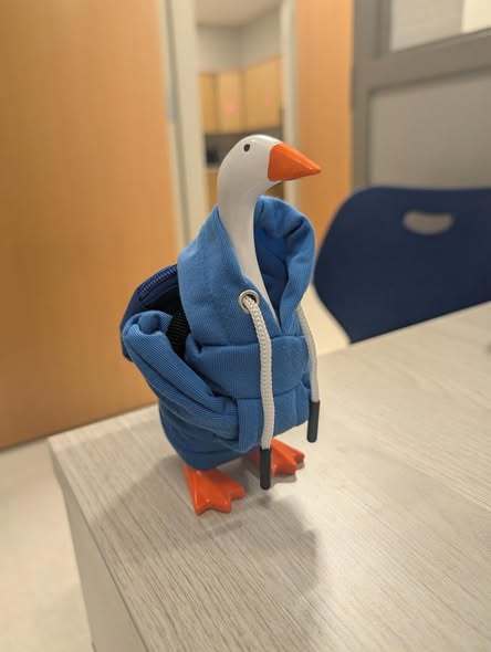 A desk goose wearing a blue hoodie. 
