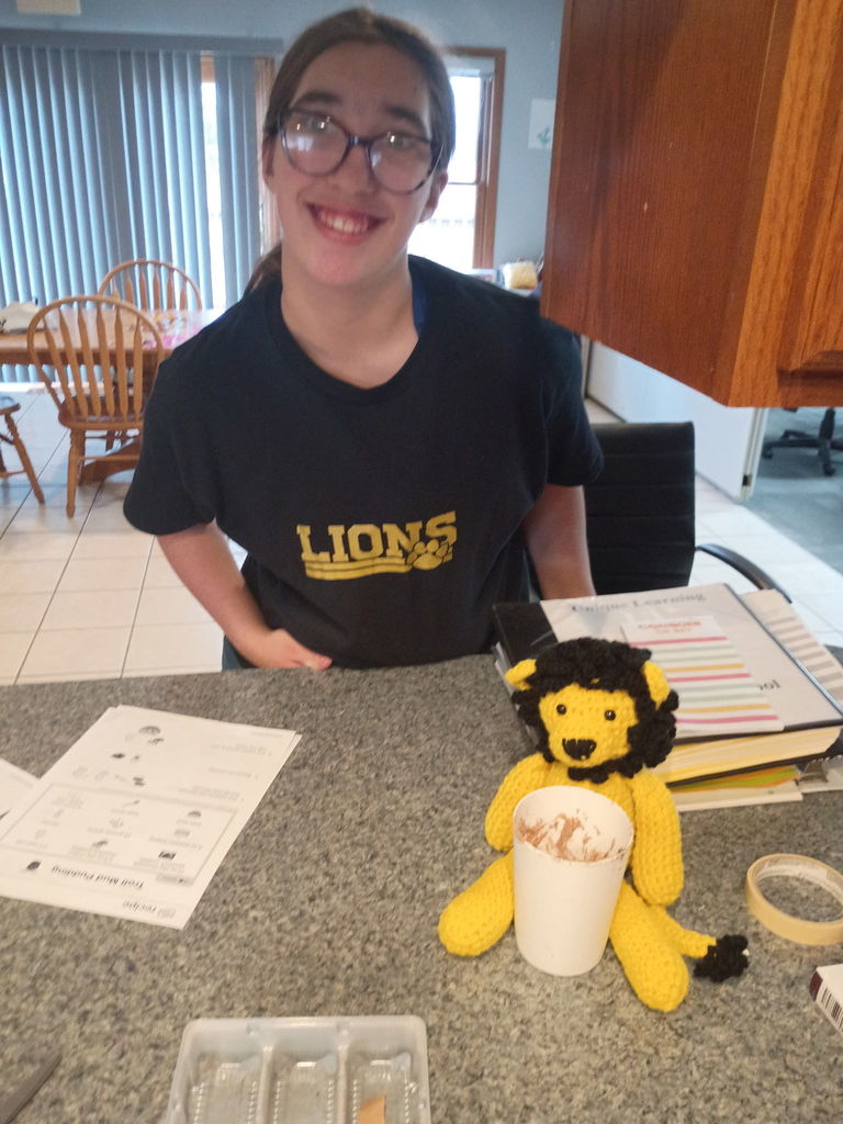 A crocheted yellow lion sits on a counter next to classroom materials while a student stands behind the counter wearing a school spirit shirt; books and worksheets are visible nearby.