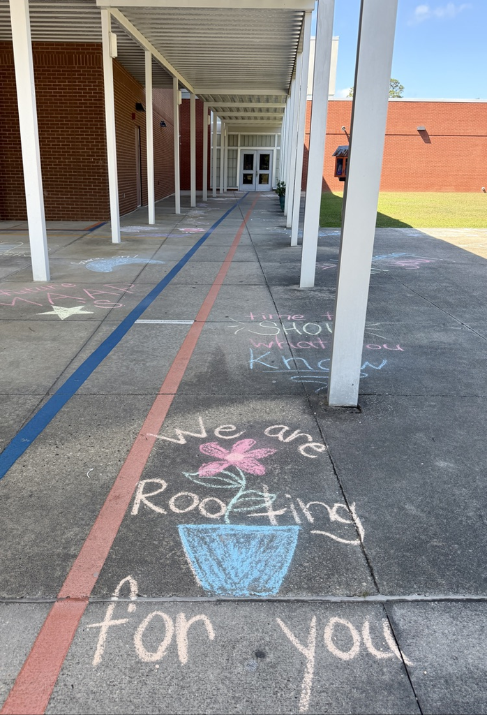 TSE Chalk the Walk