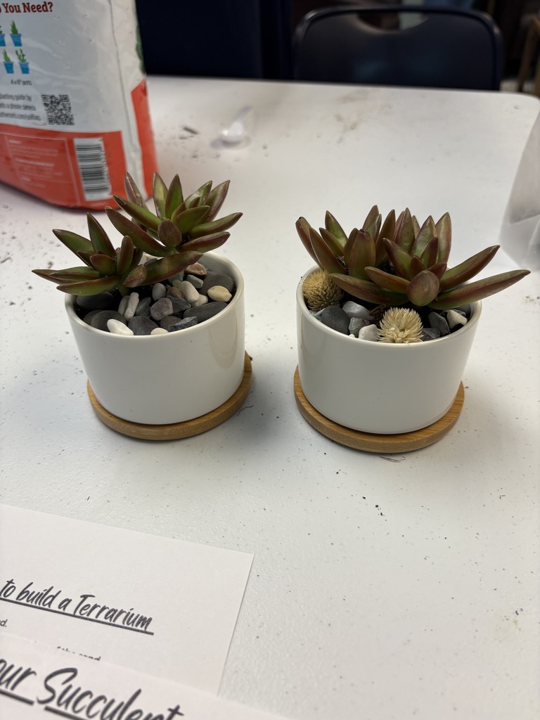 Terrarium