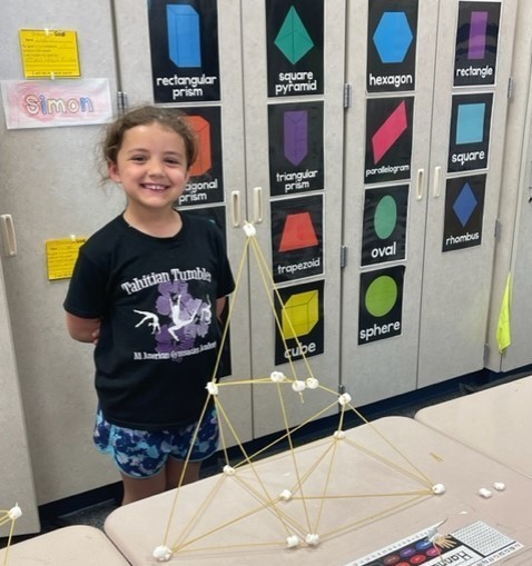 StemWinner
