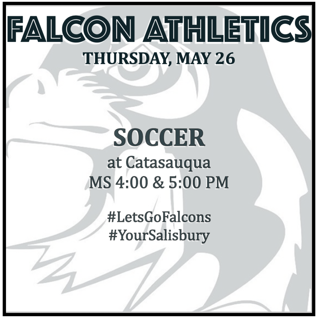 MS SOCCER: at Catasauqua - 4:00 & 5:00 PM