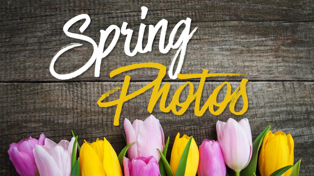 Spring Photo Previews