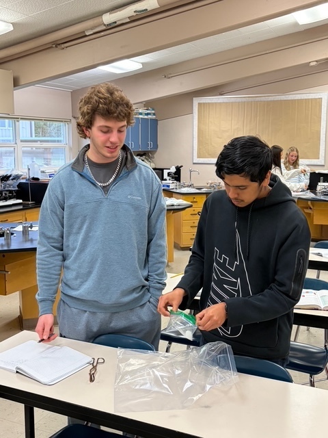 Chemistry and Dry Ice