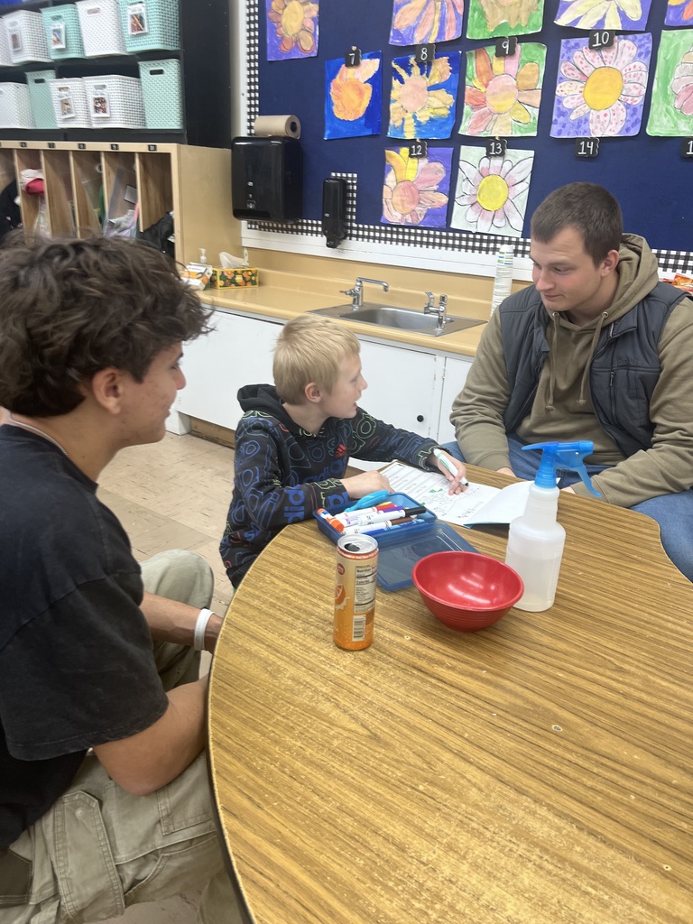 High school students helping 2nd grade students 