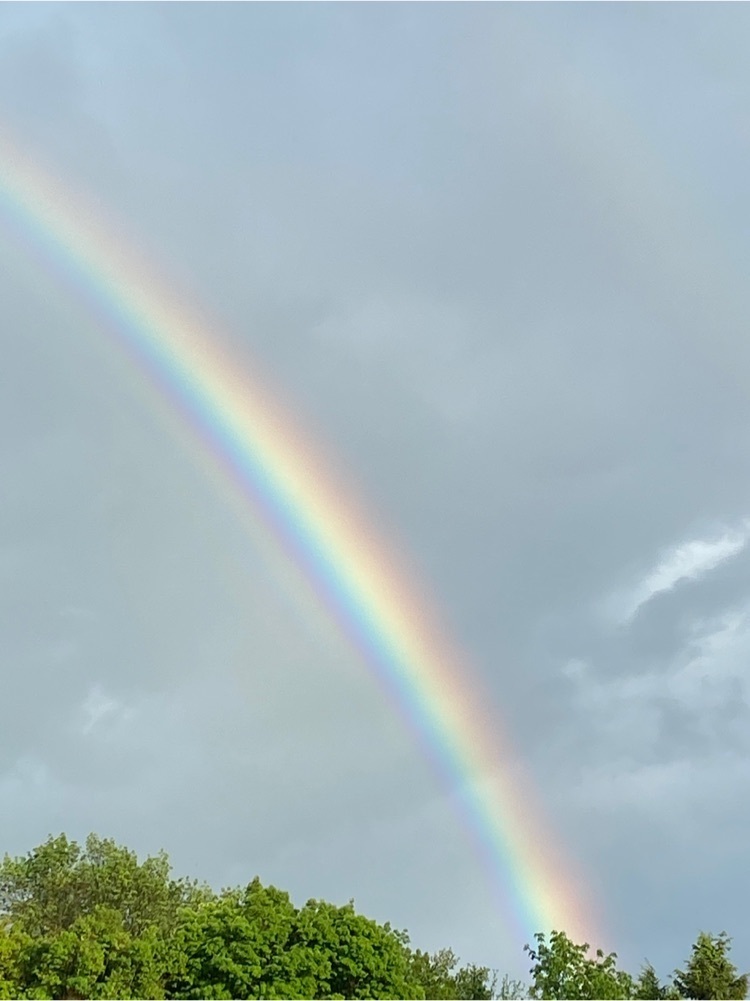 rainbow 