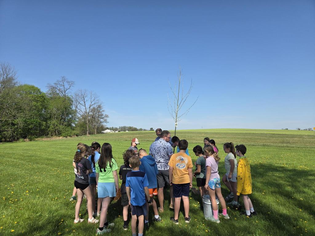 A group of students assisting in planting a tree.