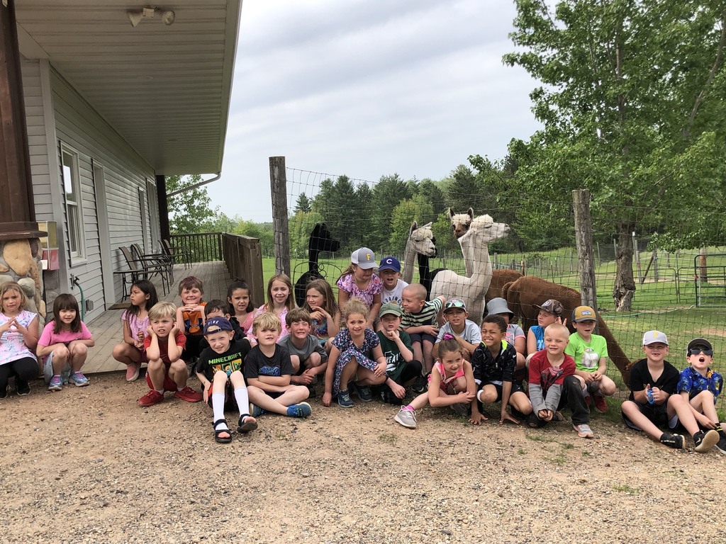 Florence 1st Grade at Alpaca Farm