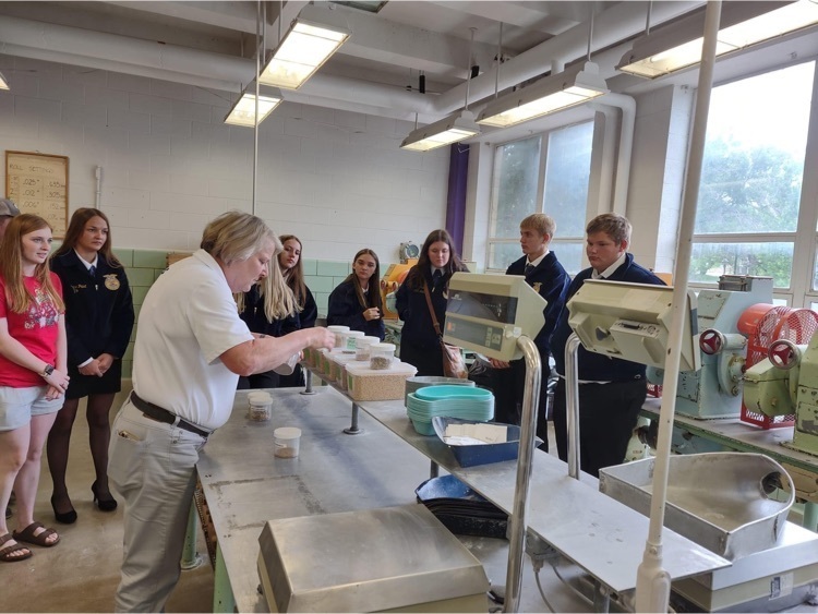 students learning 