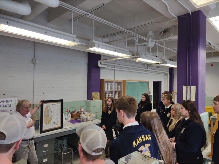 students learning 