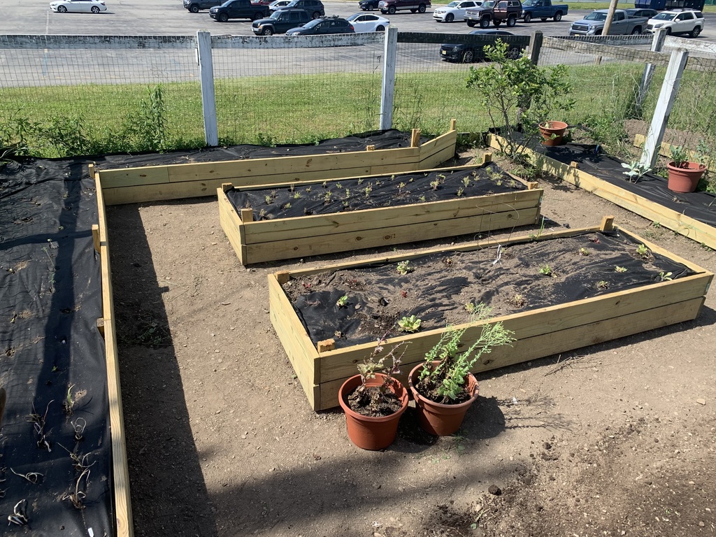 Raised Bed Garden 
