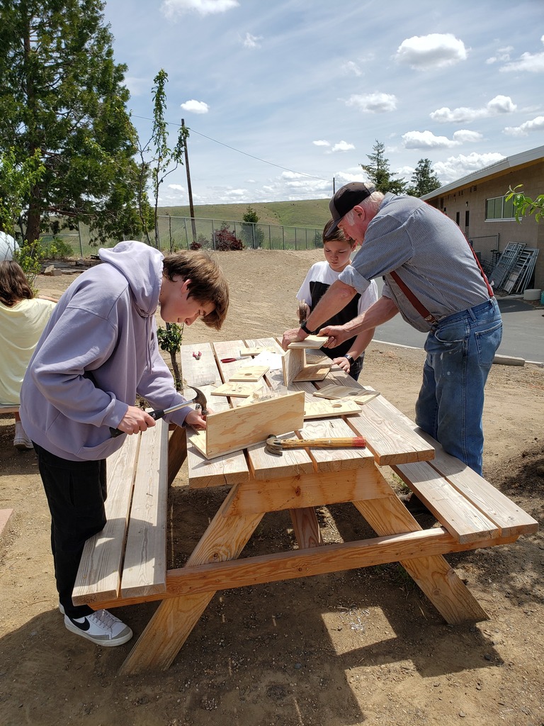 Birdhouse Building 2