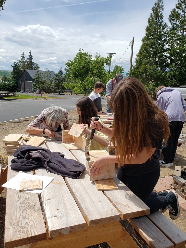 Birdhouse Building 3