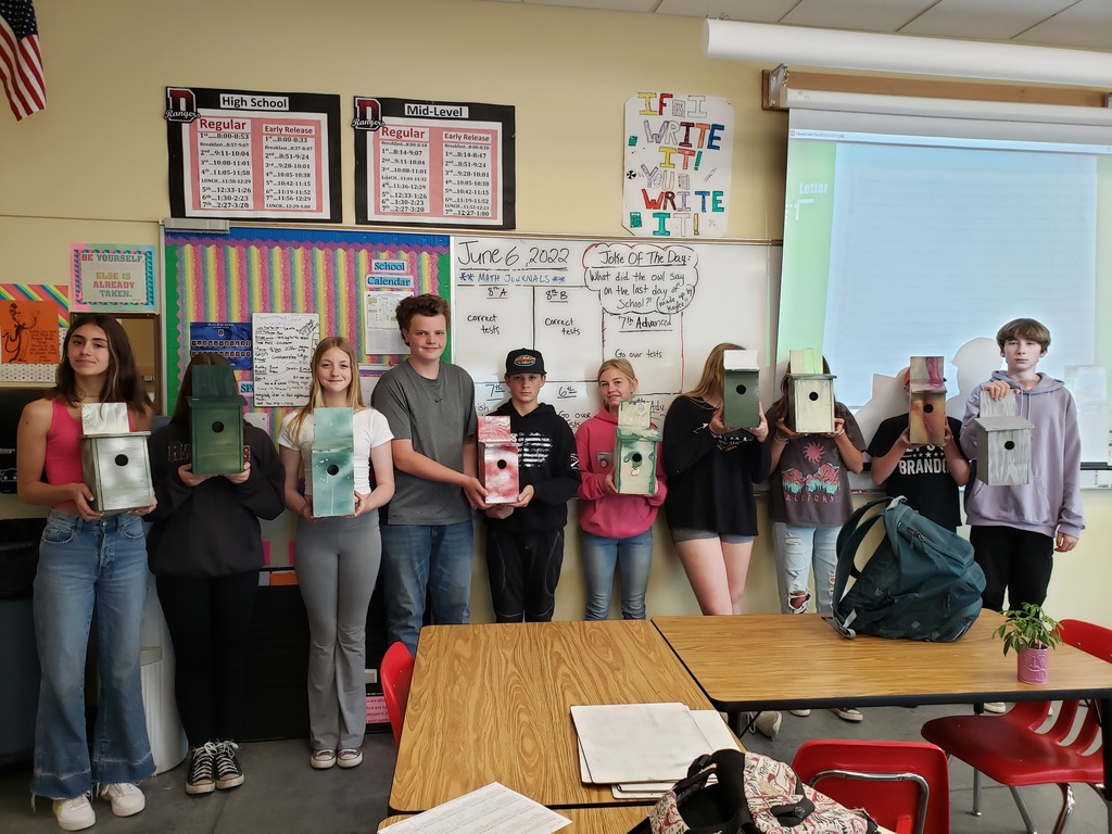 Birdhouse Building 4