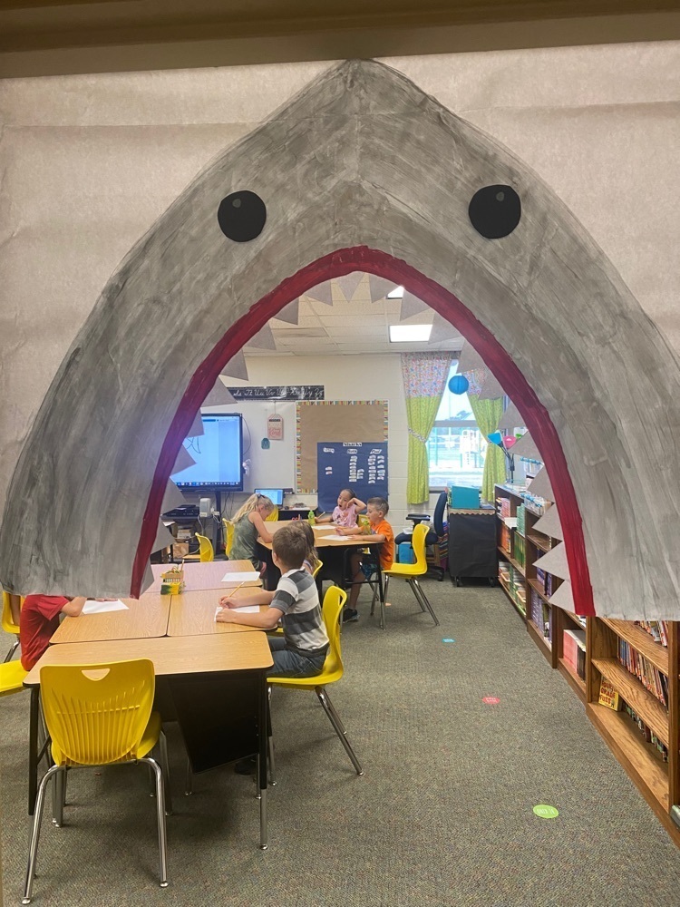 shark door