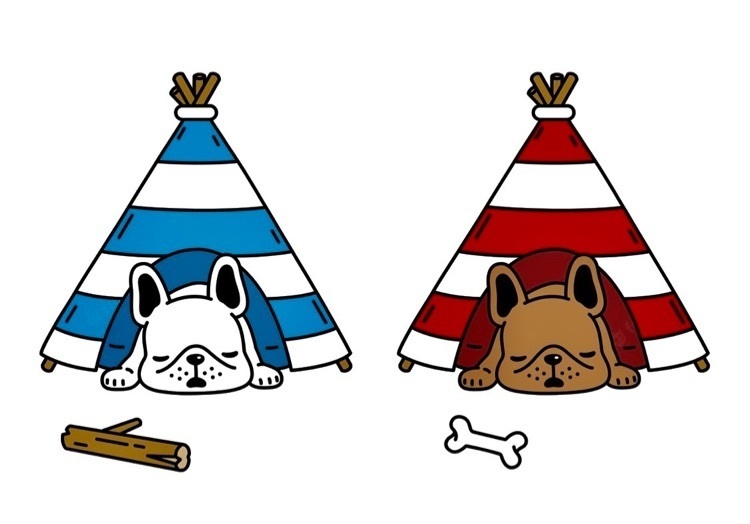 camp out 1