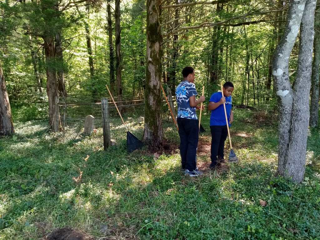Cemetary Cleanup 1