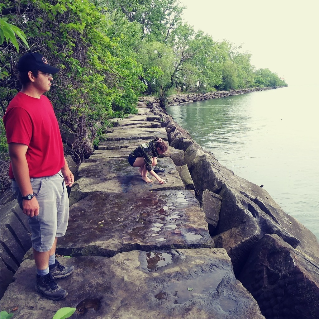 Wildlife Envirothon Competition