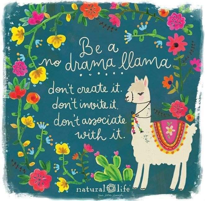 no drama