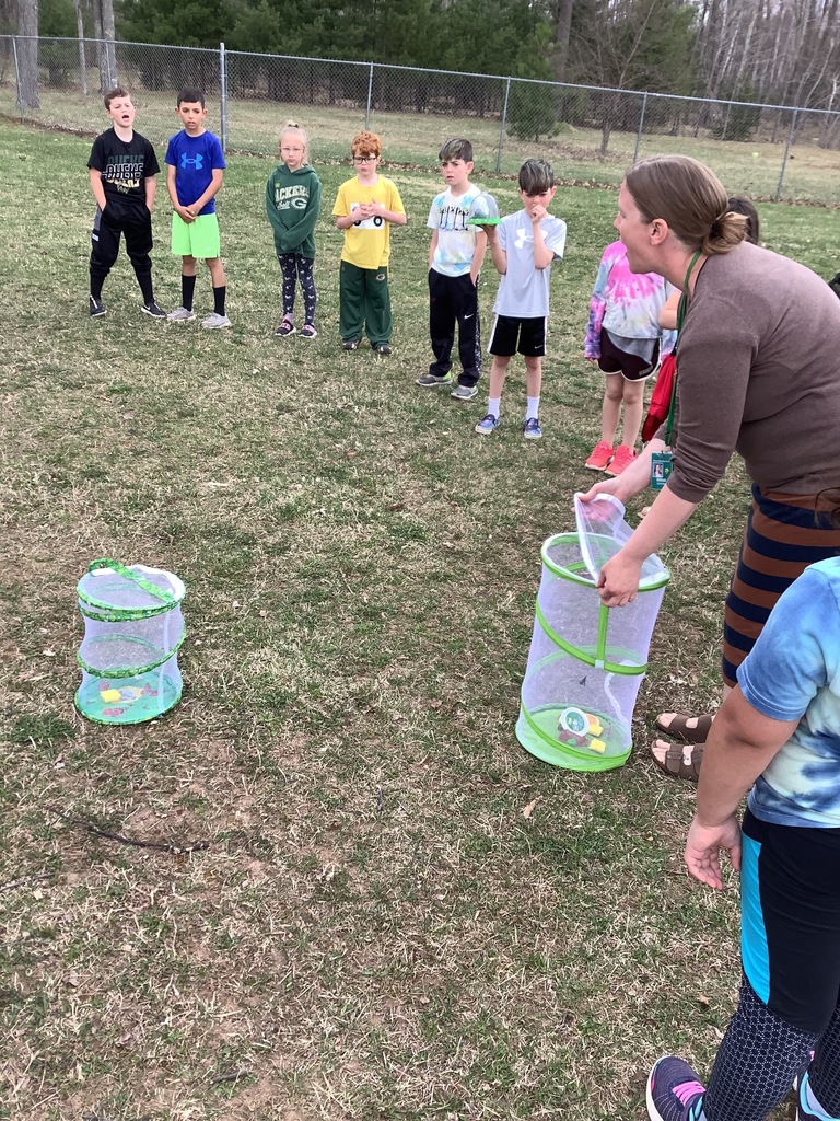 Florence 1st Graders studying insects