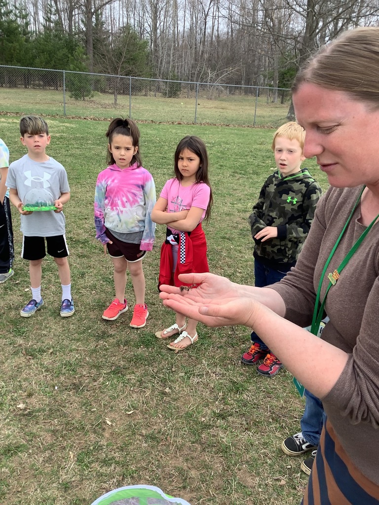 Florence 1st Graders studying insects
