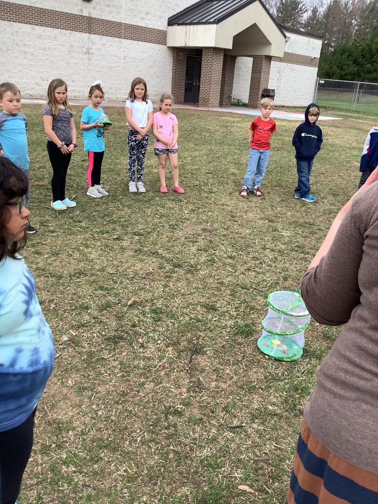 Florence 1st Graders studying insects
