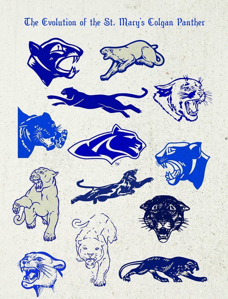 Panthers