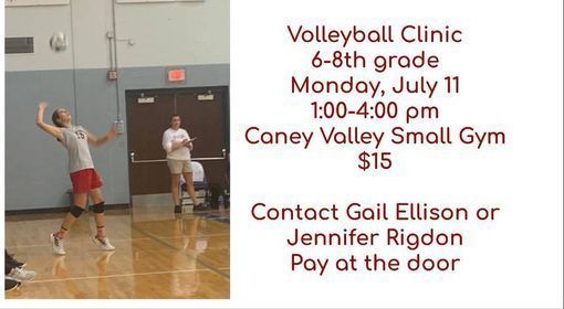 vball clinic
