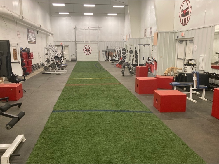 weight room turf  