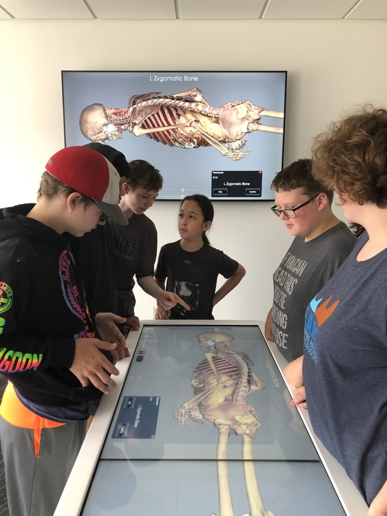 Virtual Cadaver