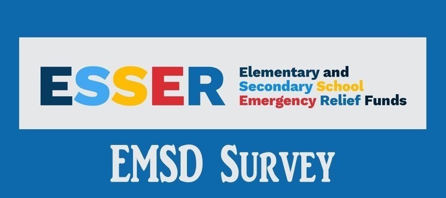 ESSER survey graphic