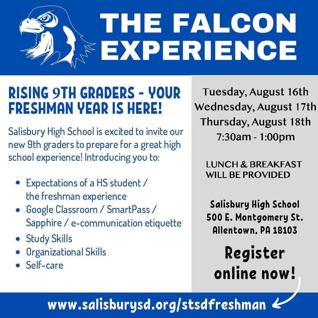 The Falcon Experience