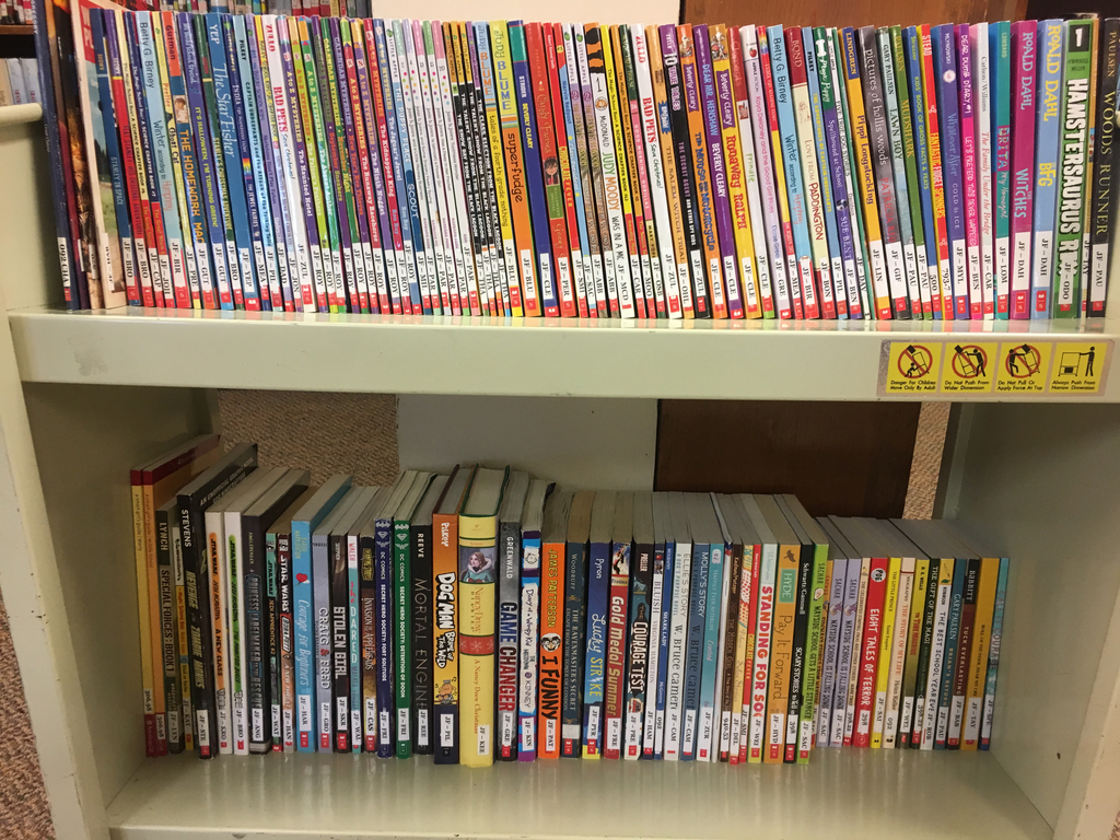 New chapter books!
