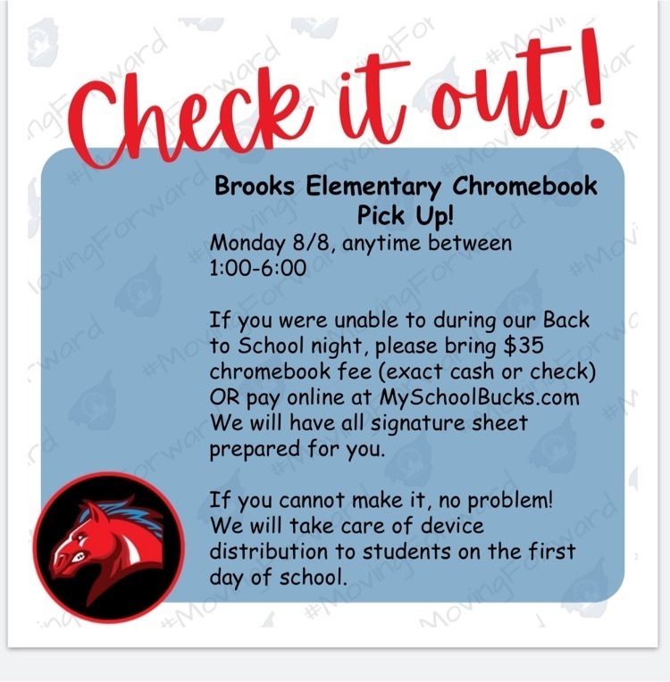 Chromebook rollout