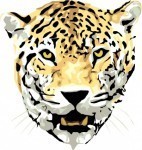 jag
