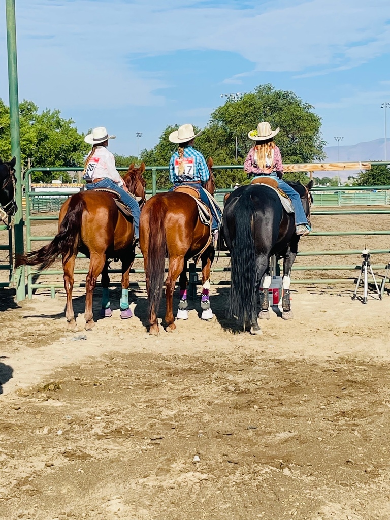 Fernley Rodeo