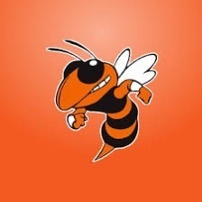 Hornet