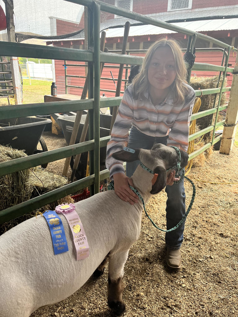 Kaylee Wiles: Reserve Champion Market Sheep