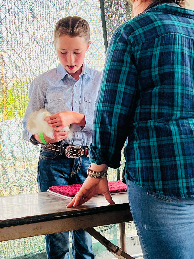 Jacey: Rabbit Showmanship
