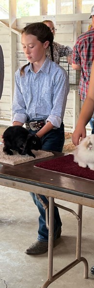 Jacey: Rabbit Shomanship