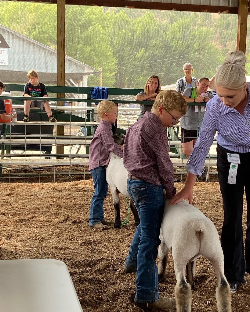 Hudson and Rhett in the show ring