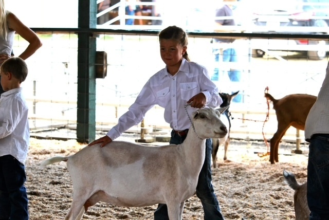 Bailey shows Cupcake